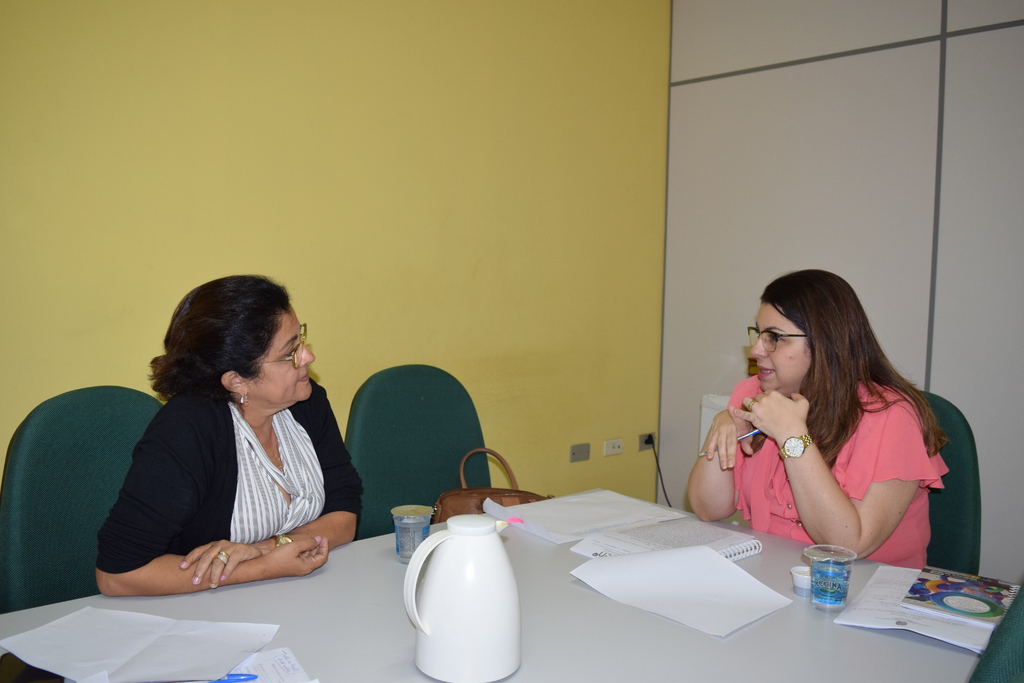 Encontro ente Coren-PI e FMS