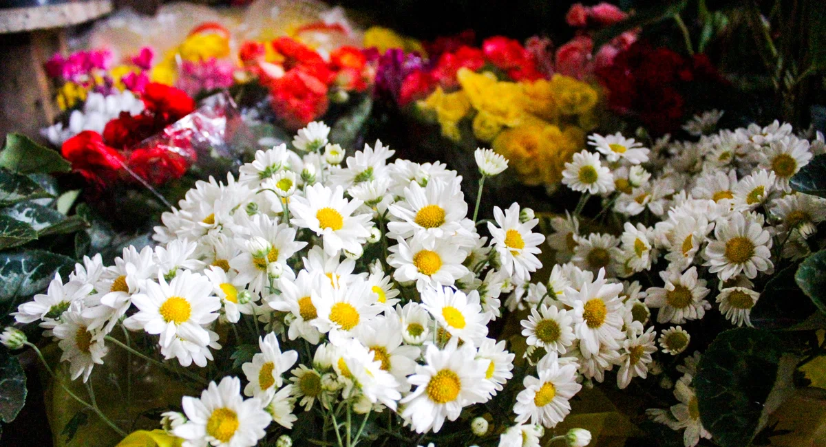 Venda de flores no Shopping natureza