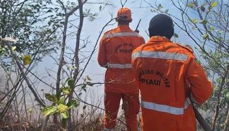 Corpo de Bombeiros Militar do Piauí (CBMEPI) combatendo incêndios em vegetação.
