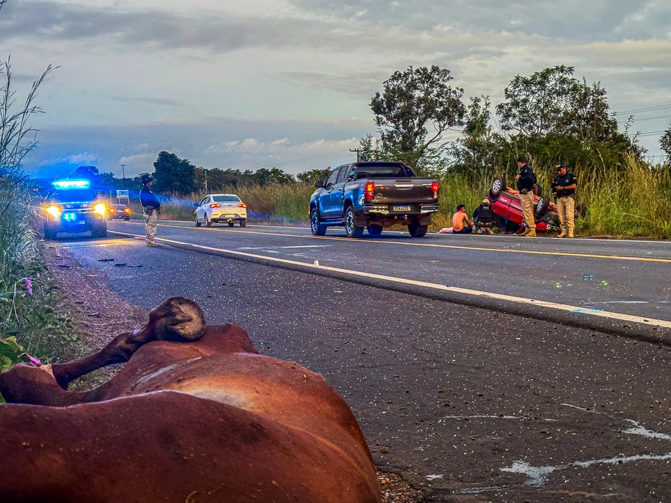 Acidente ocorreu na BR-343, entre Altos e Campo Maior