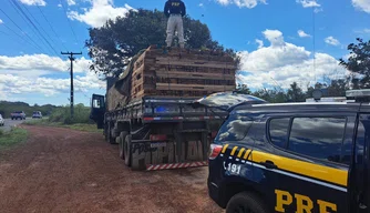 Madeiras apreendidas durante a operação.