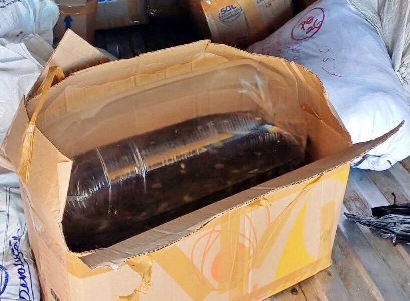 Transporte irregular de alevinos em Valença.