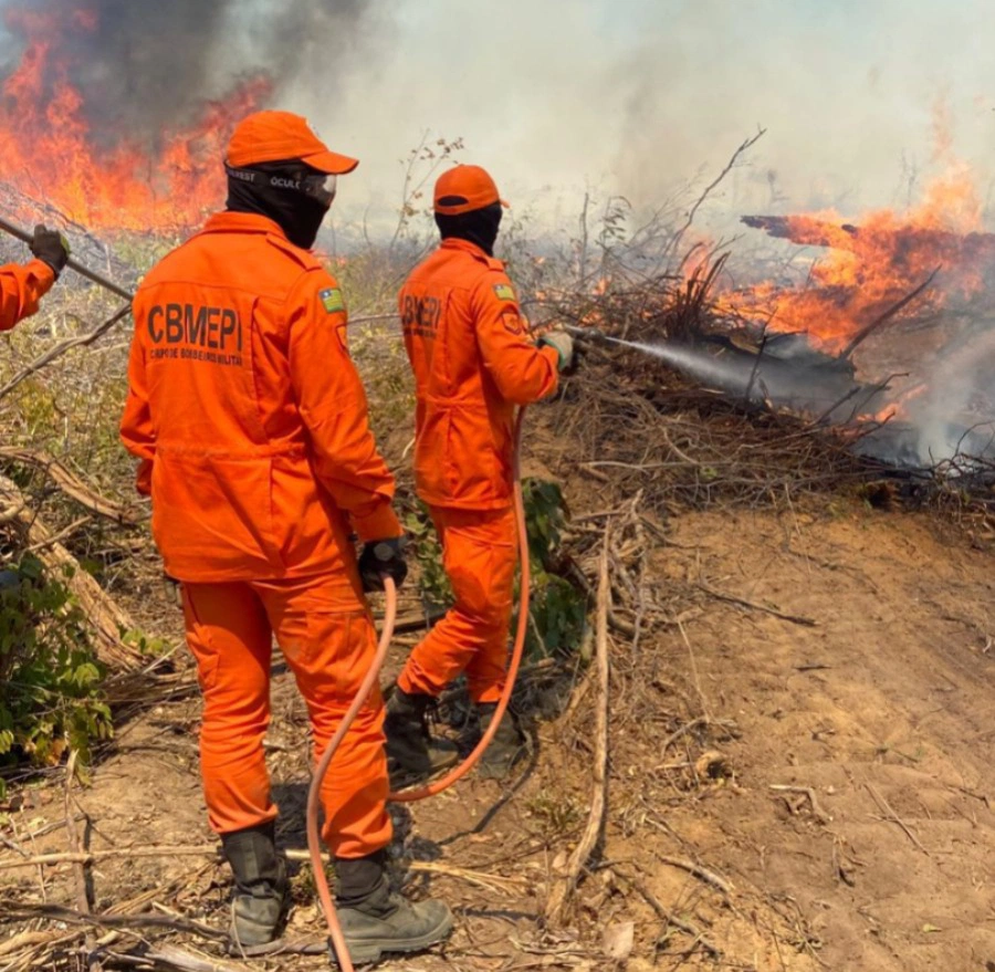 Incêndio em Pavussu .