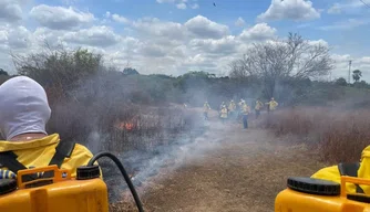 Proibição de queimadas no território piauiense