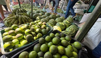 Feira da Agricultura Familiar de Miguel Alves