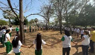 Dia da Árvore e Dia Mundial da Limpeza.