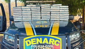 PRF em parceria com o DENARC realiza apreensão de 51 kg de cocaína