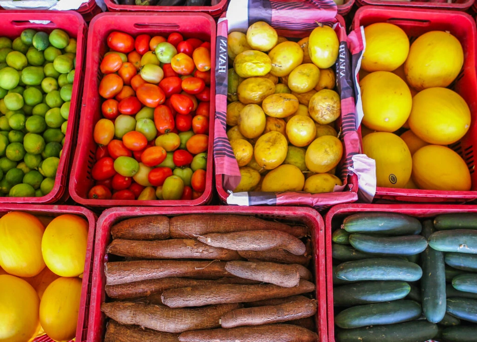 Programa de Alimentação Saudável