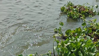 Vítima foi encontrada por pescadores às margens do Rio Parnaíba
