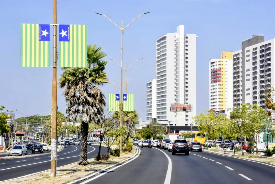 Bandeira do Piauí