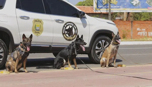 Secretaria de Segurança faz 1ª Cãorrida NOC para incentivar integração animal