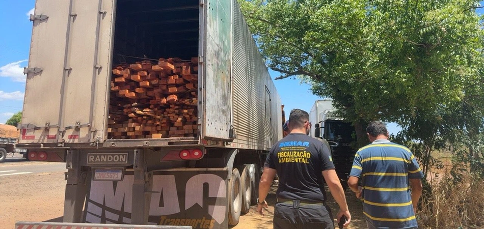 PRF e Semarh apreendem madeira ilegal