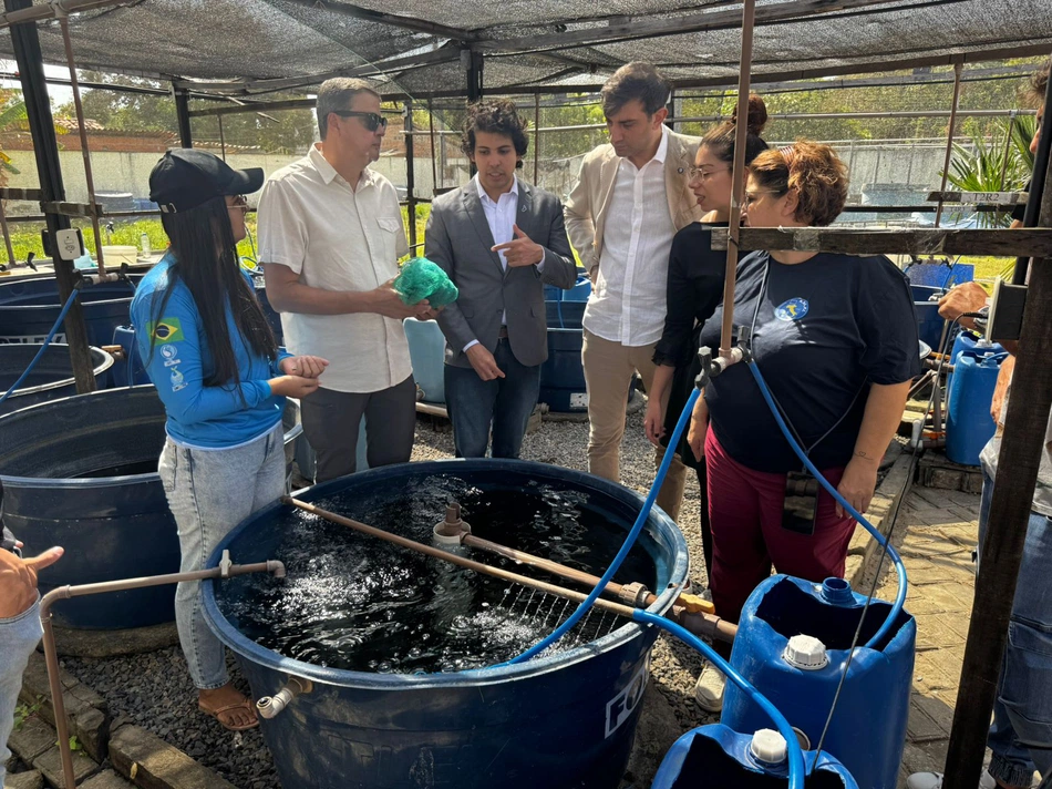 Companhia Porto Piauí