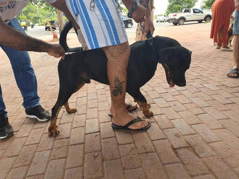 Vacinação contra a raiva
