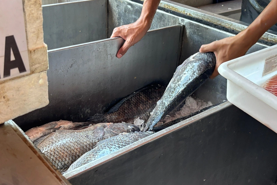 Mercado do Peixe