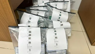 Placas com suspeita de fraude