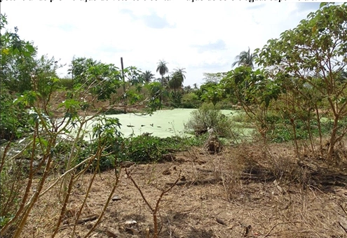 Lagoa de tratamento abandonada