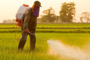 MP discute fortalecimento da vigilância sobre agrotóxicos no 