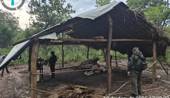 Fiscalização interrompe desmatamento em Bom Jesus