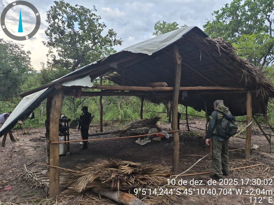 Fiscalização interrompe desmatamento em Bom Jesus