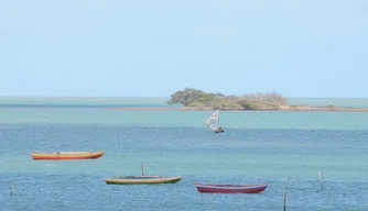Cajueiro da Praia