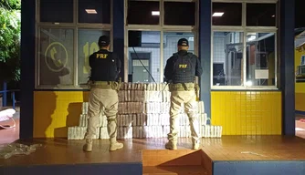 Apreensão de 200 kg de skunk, a "supermaconha"
