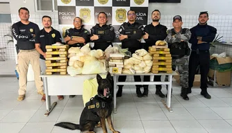 Apreensão realizada pela Policia Civil