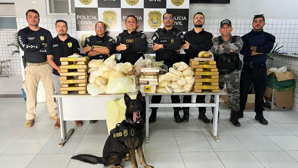 Apreensão realizada pela Policia Civil