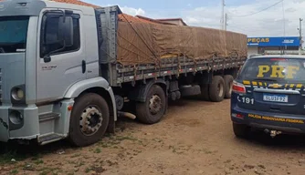 Carga irregular de madeira apreendida