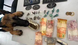 Cadela farejadora, Malu, e material apreeendido