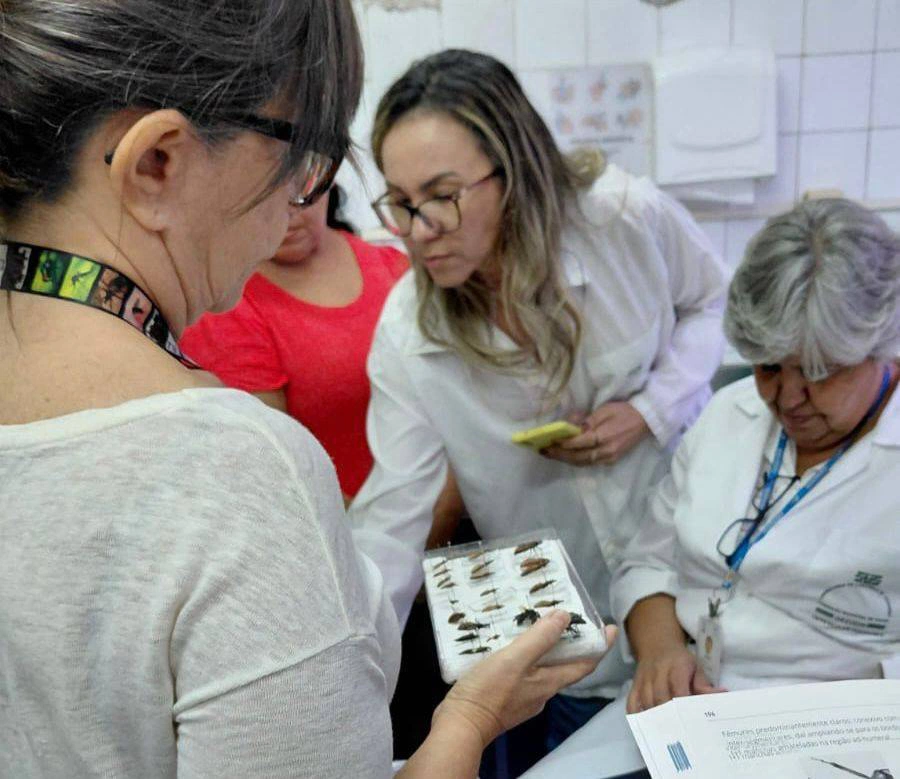 Treinamento especializado e prático