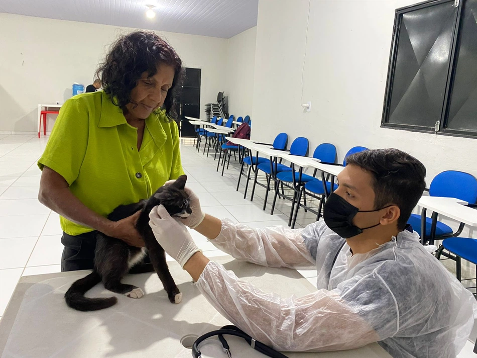 As propostas das organizações interessadas podem ser enviadas de 12 de fevereiro a 12 de março.