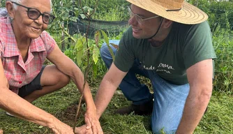 Mais de 100 mudas são plantadas na Avenida Noé Mendes em Teresina