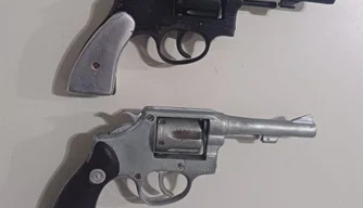 Armas de fogo apreendidas