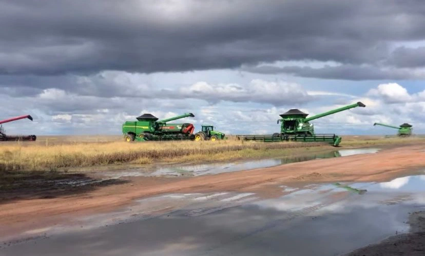 Chuvas intensas atrasam colheita da soja no sul do Piauí
