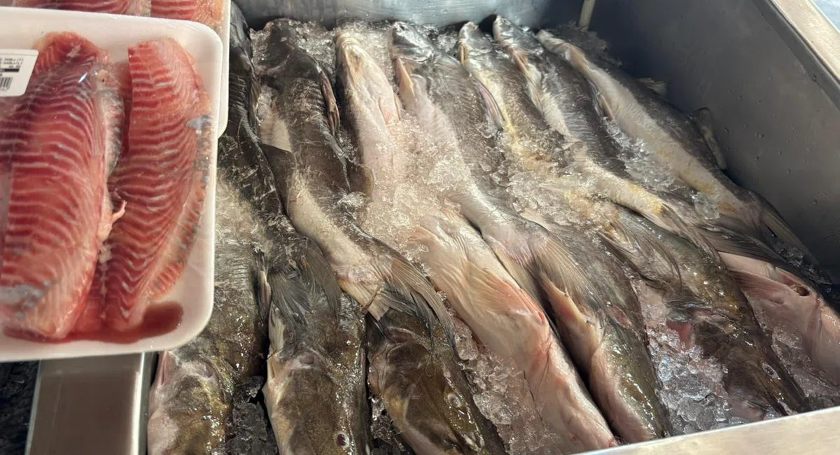 Mercado do Peixe de Teresina