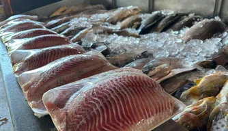 Mercado do Peixe de Teresina