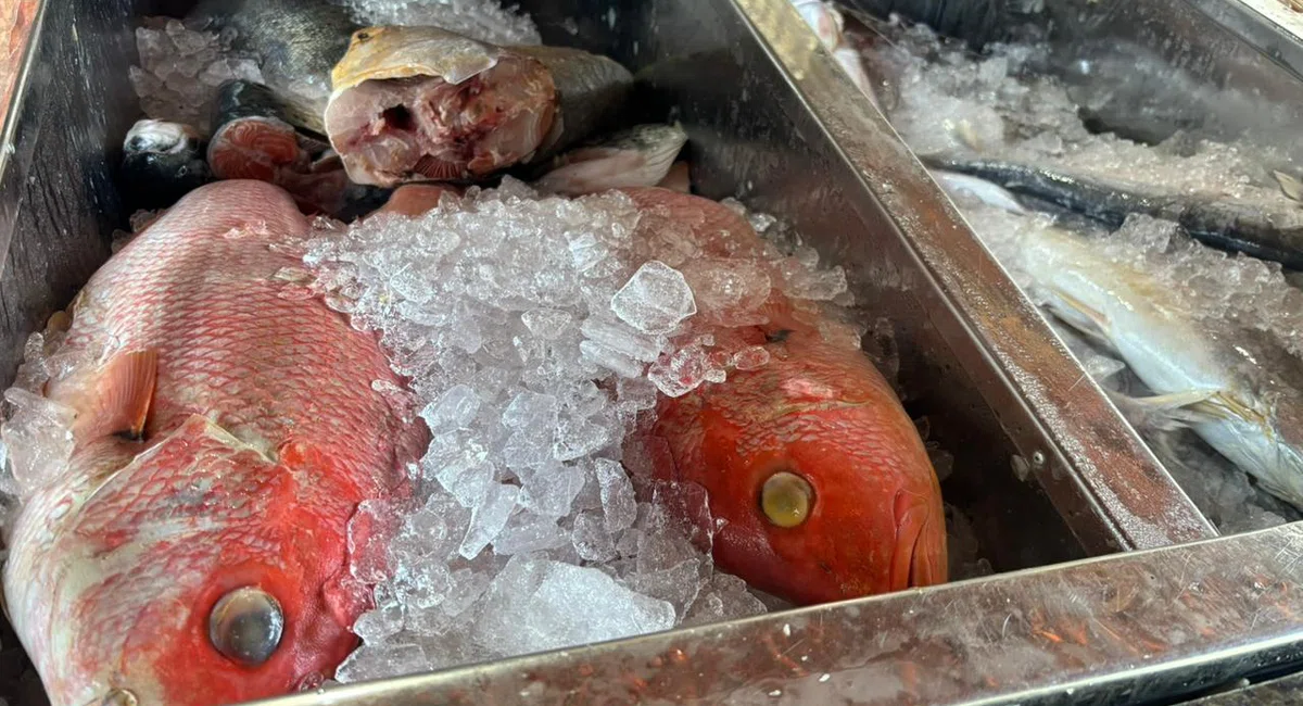 Mercado do Peixe de Teresina