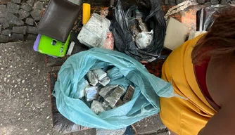 Apreensão de material ilícito
