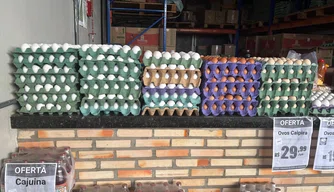 Cartelas de ovos