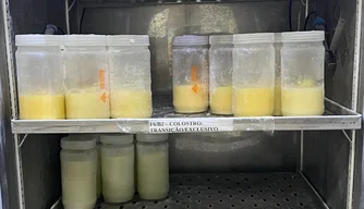 Doação de Leiite Humanpo