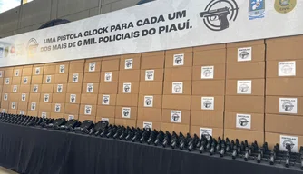 Novo armamento