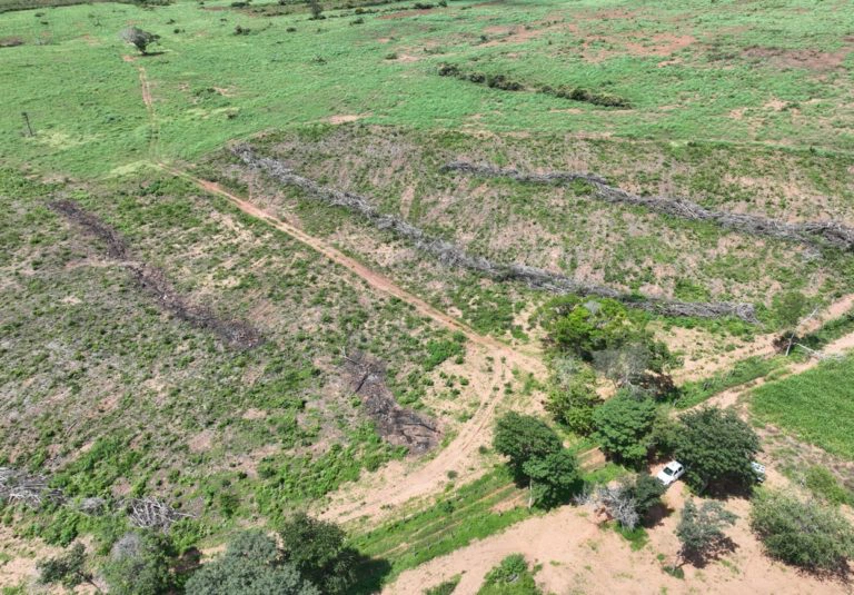 Operação Caatinga Resiste, desmatamento ilegal, crime ambiental
