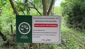 Secretaria do Meio Ambiente recupera cinco nascentes em Ribeiro Gonçalves, do Cerrado piauiense