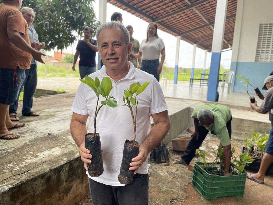 Prefeitura de Inhuma distribui 15 mil mudas de cajueiro