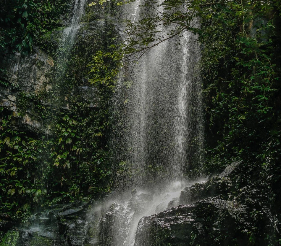 cachoeira, trilha, passeio, turismo, natureza
