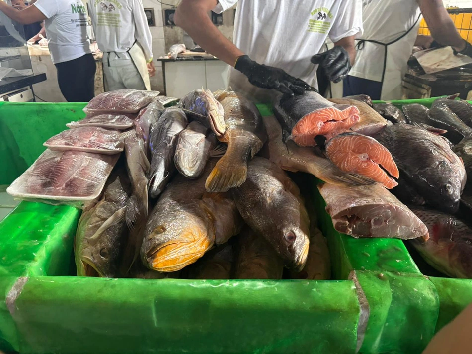Mercado do Peixe em Teresina
