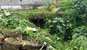Vila da Paz, obra