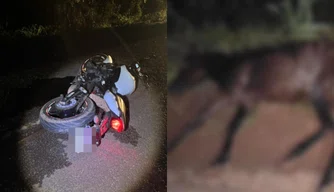 Motociclista morre após colidir contra animal em José de Freitas