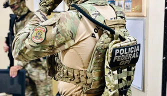 polícia federal, operação, policial